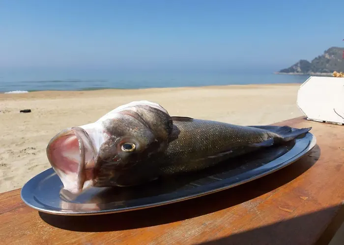 Minonthebeach 加埃塔