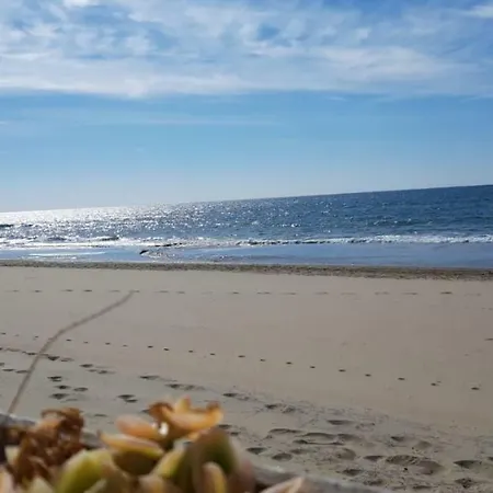 Minonthebeach